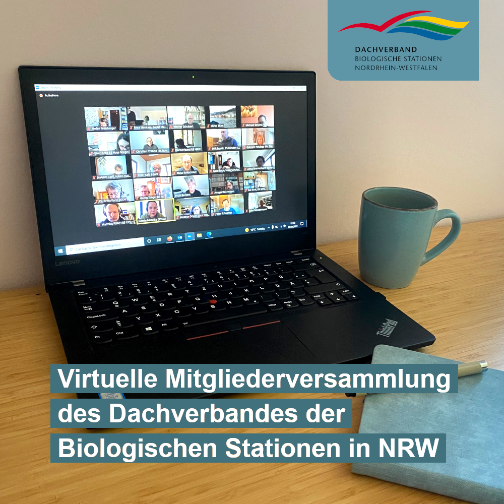 Virtuelle Mitgliederversammlung