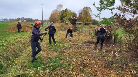 Für den Erhalt der Artenvielfalt ist ein Rückschnitt nötig.