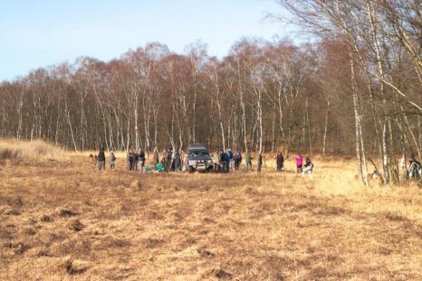 Eine Gruppe Freiwilliger bei der Arbeit im Further Moor für den Natur und Artenschutz.